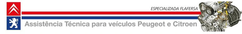 Assitencia tecnica para Peugeout e Citroen na Zona Leste